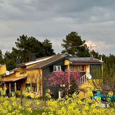 Pegarinhos Casa Da Oliveira 아파트 외부 사진