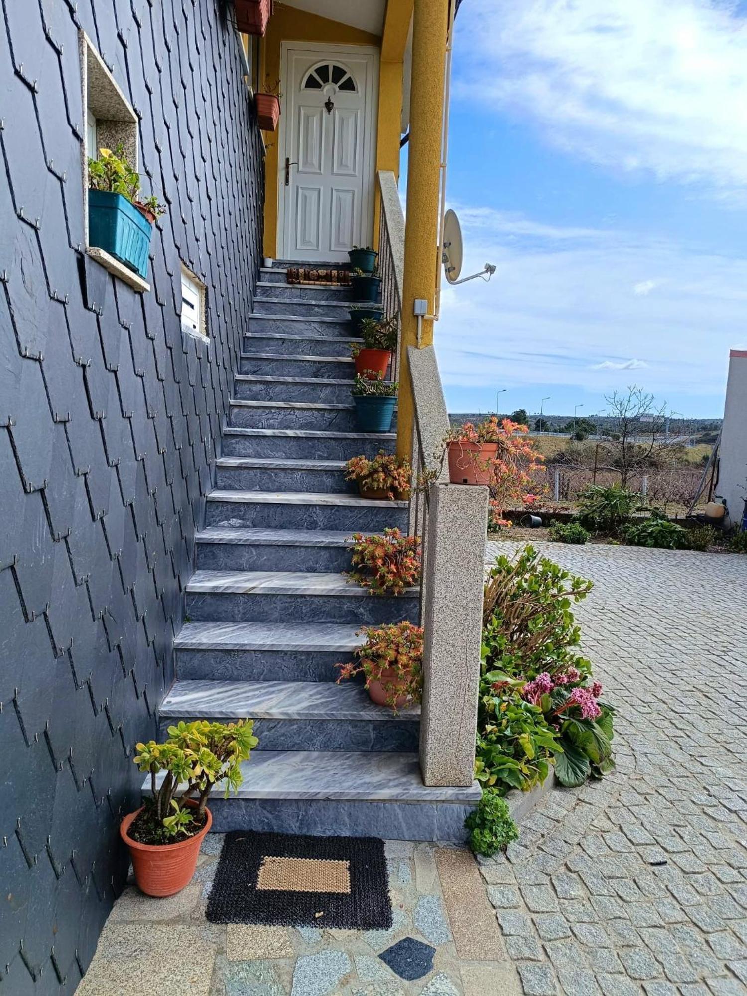 Pegarinhos Casa Da Oliveira 아파트 외부 사진